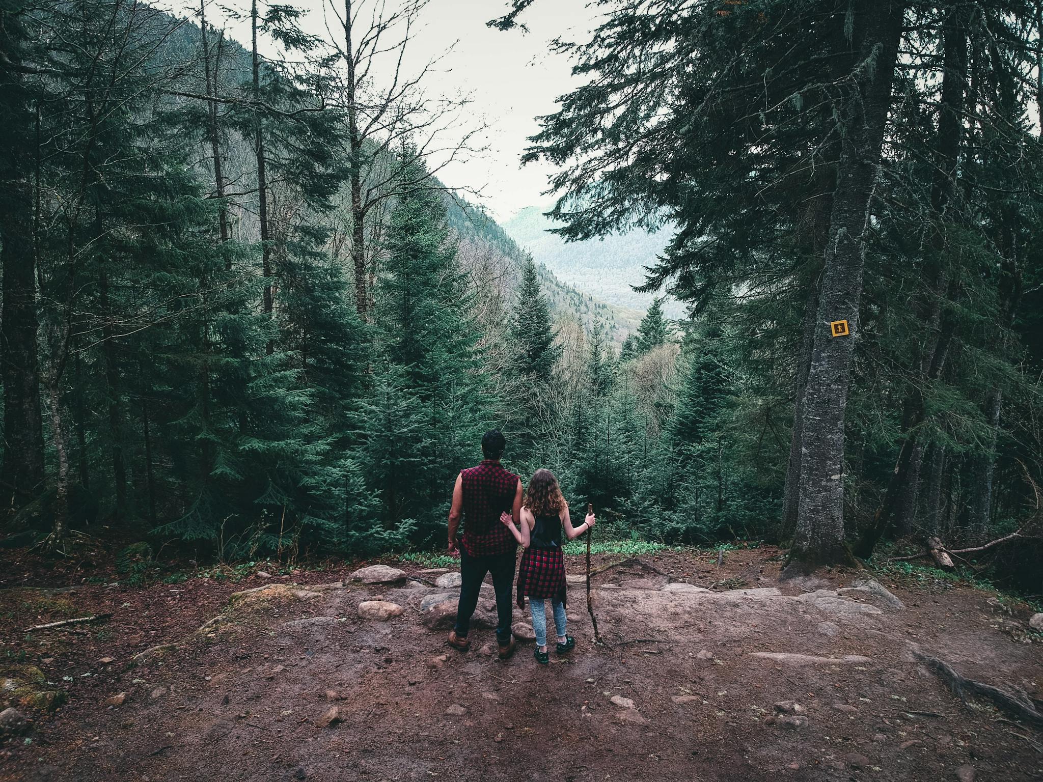 Backview of Couple standing near a Cliff in a Mountains